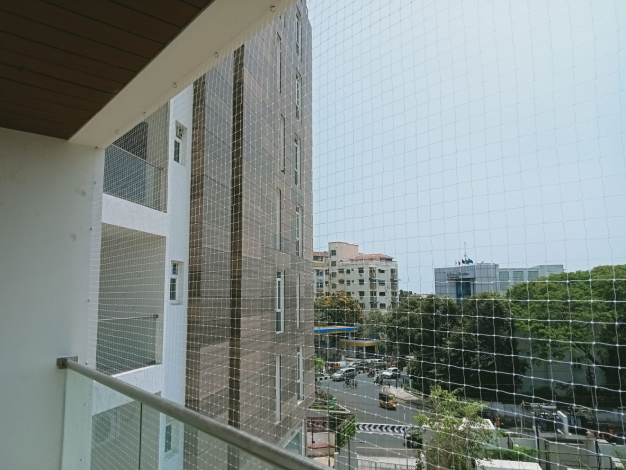 Pigeon Nets in Chennai