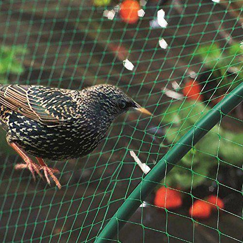  Bird Protection Nets in Chennai