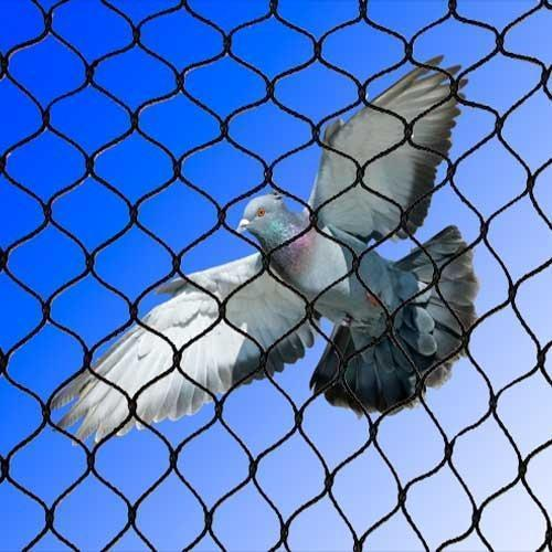 Pigeon Nets in Chennai