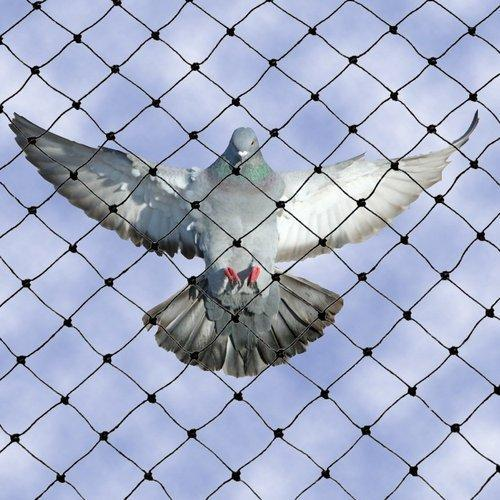  Pigeon Safety Nets in Chennai